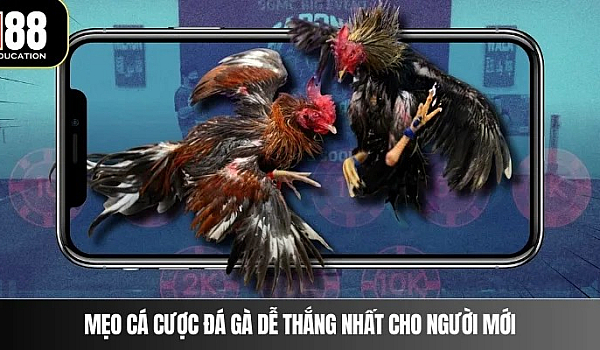 M88 Cockfighting Guide: From Beginner to Advanced Winning Strategies